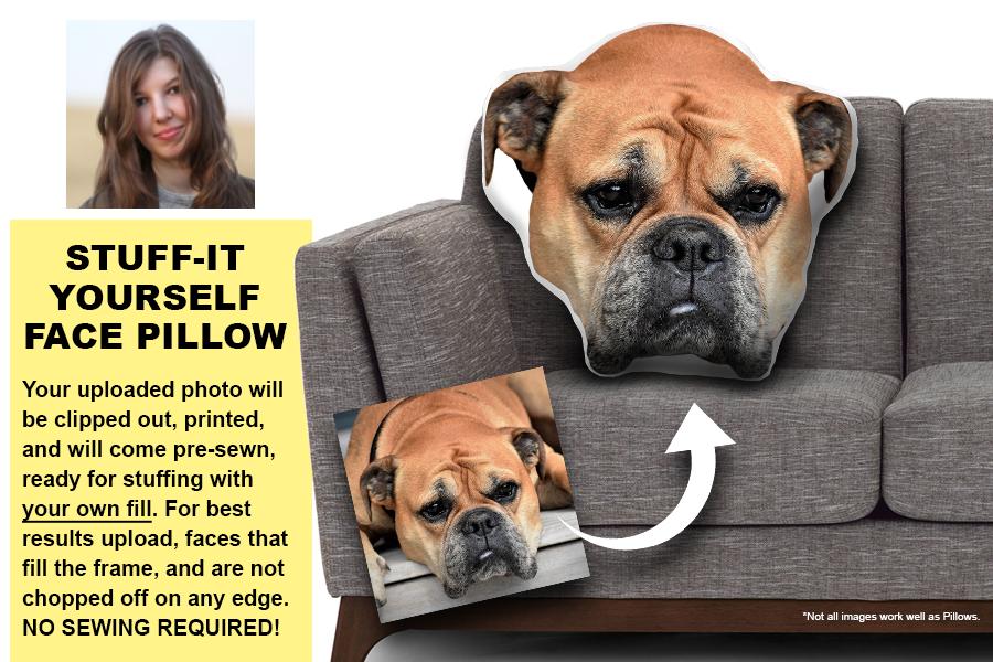 Sample of Face Pillow